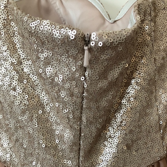 Bari Jay Bridesmaid Dress, Size 10, Rose Gold/Blush/Chanpagne - Picture 6 of 8